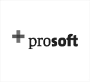 prosoft EDV-Lösungen GmbH & Co. Kg Logo